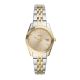 Fossil Scarlett Ladies Watch